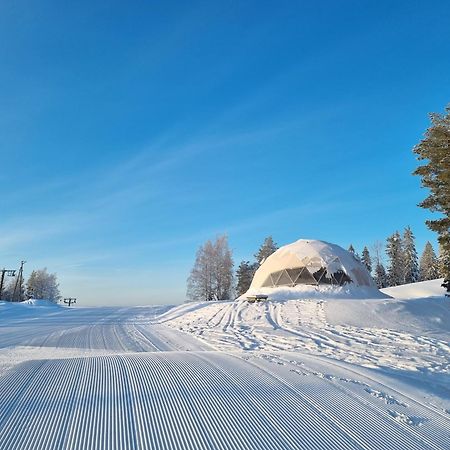 Outdoor Hostel Laajis Jyväskylä Buitenkant foto